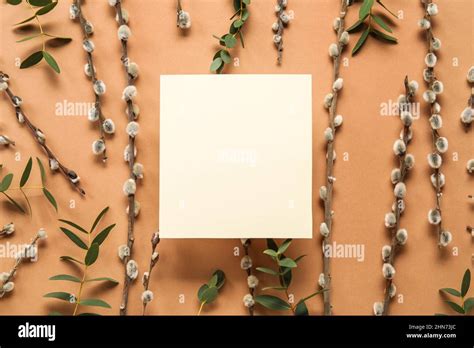 Composition With Blank Card Pussy Willow Branches And Eucalyptus On Color Background Stock