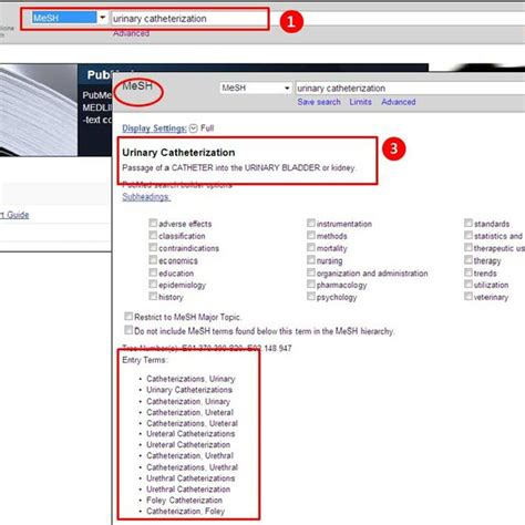 PubMed Searching Strategy using MeSH Terms, Free Textwords and Limits... | Download Table