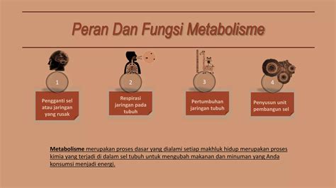 Ppt Fisiologi Hewan Kelomok Pptx