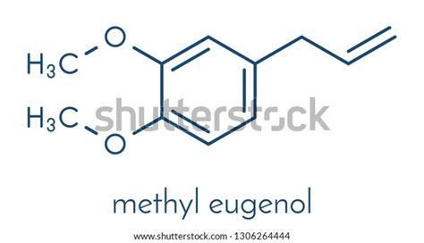 Methyl Eugenol Molecule Skeletal Formula Stock Vector Royalty Free