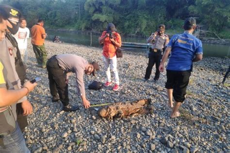 Cari Besi Tua Warga Blitar Temukan Bom Mortir Di Sungai Brantas