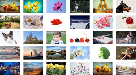 Lizenzfreie Bilder Kostenlos Über 100000 Hq Bilder