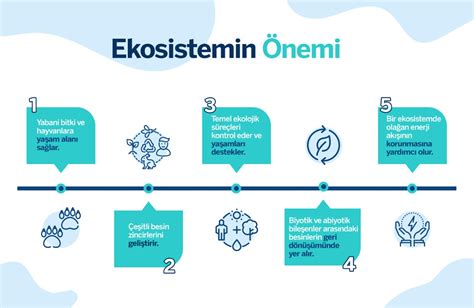 6 Maddede Ekosistem Nedir Garanti BBVA