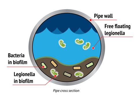 About Legionella Legionella Control Systems