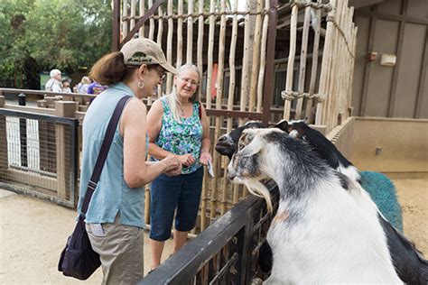 Senior Safari Happy Hollow Park And Zoo