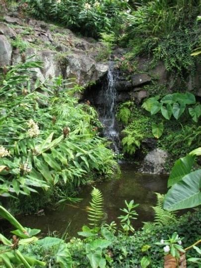 Kula Botanical Gardens in Kula, Hawaii - Kid-friendly Attractions ...