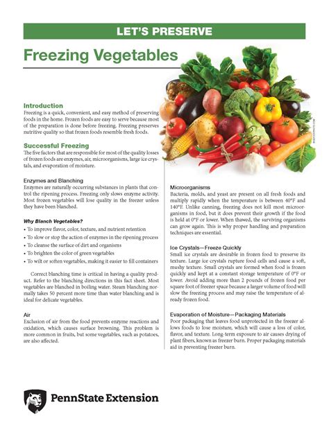 Freezing Vegetables - Successful Freezing | WIC Works Resource System