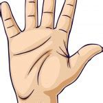 Hand Show Fuck Stock Vector Image By Svetap