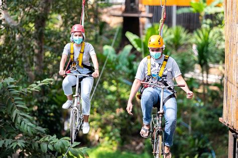 Pongyang Jungle Coaster And Zipline Trips Chiang Mai