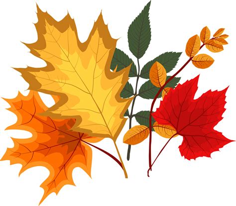 autumn falling leaves  png