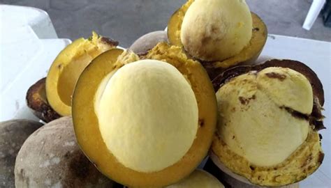 Conheça 20 Frutas Típicas do Pará - Fotos e Características!