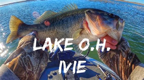 Lake Oh Ivie Bass Fishing The Search For A Giant Drop Shots And