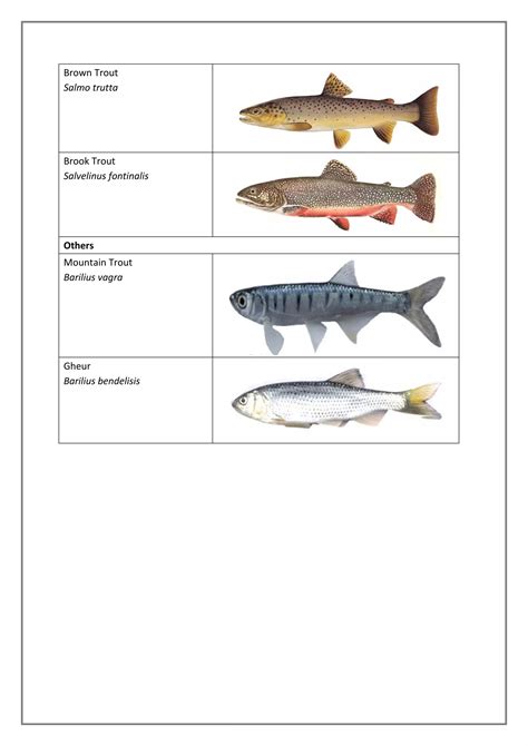 FISH AND FISHERIES OF INDIA | PDF