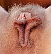 Big Clits And Labias Highly Desirable Delicacy 39 Porn Pictures XXX Photos Sex Images