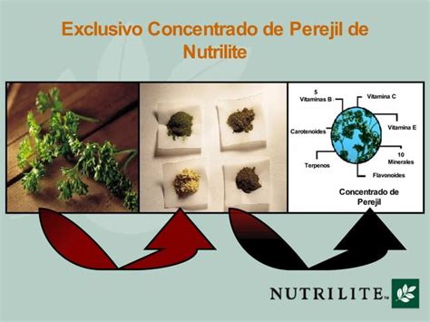 Cerocarb De Nutrilite Miguel Catalan Ppt Descarga Gratuita