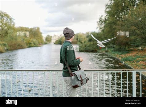 Birds Flying On Bridge Hi Res Stock Photography And Images Alamy