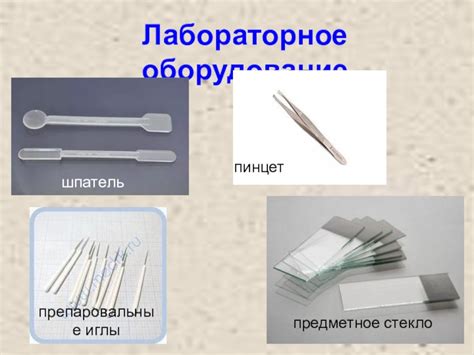 Препаровальная игла назначение в биологии