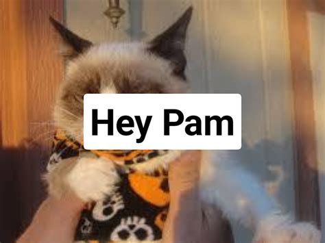 Grumpy Cat Halloween Meme Generator Pi Ata Farms The Best Meme