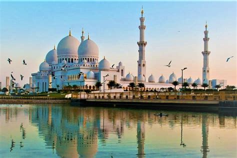 Tripadvisor Ganzt Gige Sightseeing Tour Durch Abu Dhabi Ab Dubai Mit