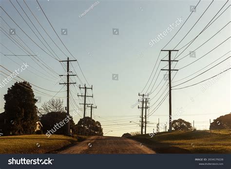 distribution  images stock  vectors shutterstock