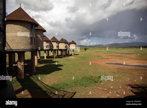 The Famous Salt Lick Safari Lodge In The Taita Hills Tsavo Kenya