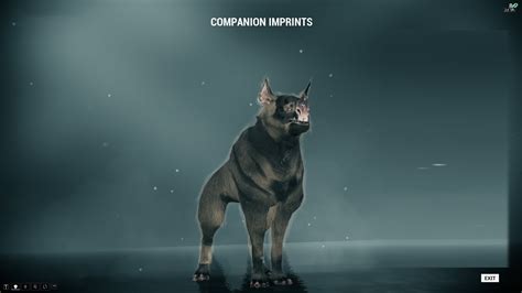 Wts Lotus Kubrow Imprints With Cheap Ones And Adarza Kavat Pc
