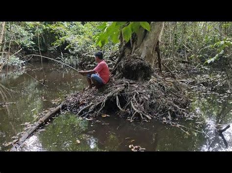 MANCING DI HUTAN ANGKER YANG DI HUNI RIBUAN IKAN MONSTER YouTube