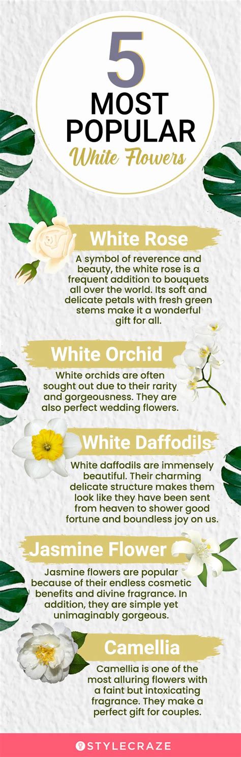 White Flowers Names List