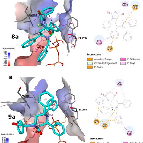 The Docking Poses Of 8a And 9a Poses As Cyan Sticks In The Binding Site