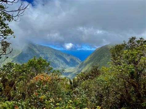 10 Best Trails and Hikes in Molokai | AllTrails