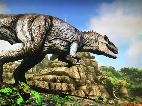 Just Tamed My First Giga 😃 Ark