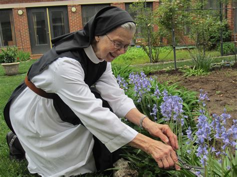 How You Can Live a ‘Monk Mindset’: App Brings the Monastic Tradition to