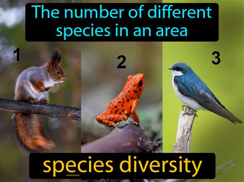 Species Diversity Definition & Image | Flippy Flashcards