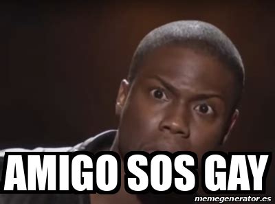 Meme Personalizado Amigo Sos Gay