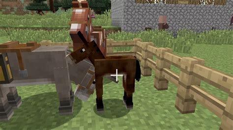 Como Reproduzir Cavalos E Burros Em Minecraft Para Criar Mulas