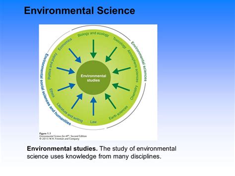 Apes Module Diagram Quizlet