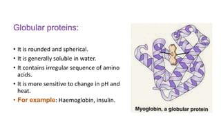 Protein Structure & Function.pptx