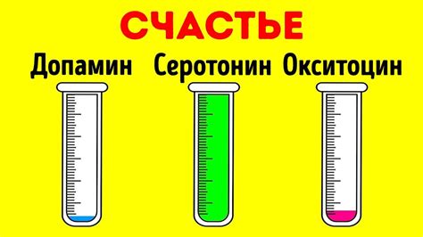 Как Гормоны Влияют на Наше Тело и Разум - YouTube