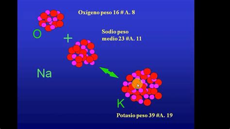 Transmutaciones biológicas II YouTube