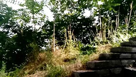 Free Naked In Nature Porn Videos Xhamster