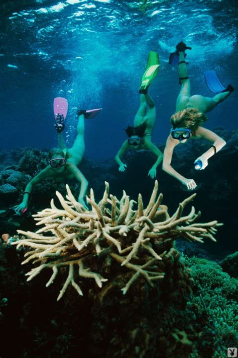 Nude Playmates Scuba Diving In Fiji FitNakedGirls Photos