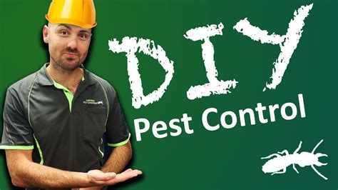 Where Do I Start Diy Pest Control Youtube