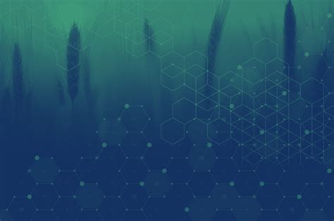 About Us - Biotech Innovations LLC