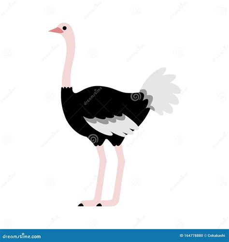 Ostrich Standing and Looking Ahead, Cute Symbol Style, Simple Design