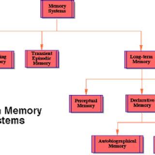 human memory systems  scientific diagram