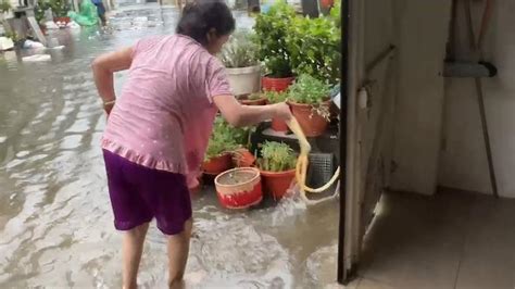 杜蘇芮颱風過後多地積水 疾管署提醒「三大重點」遠離傳染病｜四季線上4gtv