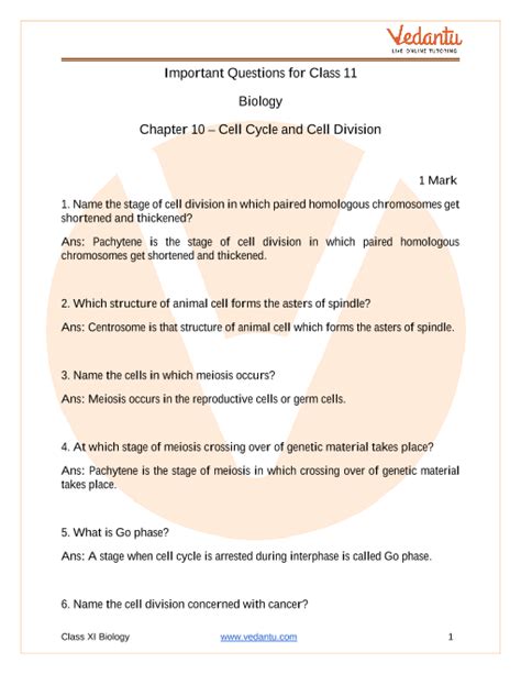 Important Questions For CBSE Class 11 Biology Chapter 10 Cell Cycle