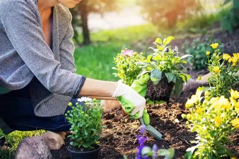 Gartentipps für den Sommer Diese Gartenarbeiten stehen im Juli und