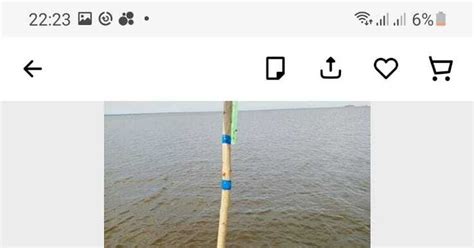 Король рыбалки | Пикабу