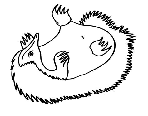 Рисунок ехидна (46 фото)